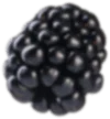 Blackberry