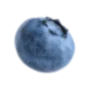 Blueberry